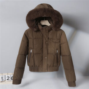 Thickened Fleece Jacket, Fashionable And Petite Hooded Short Long-sleeved Cotton Jacket