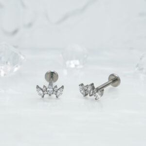 1pair Of Women's Earrings With Floral Stainless Steel Zircon Earrings Crystal Cluster Bloom